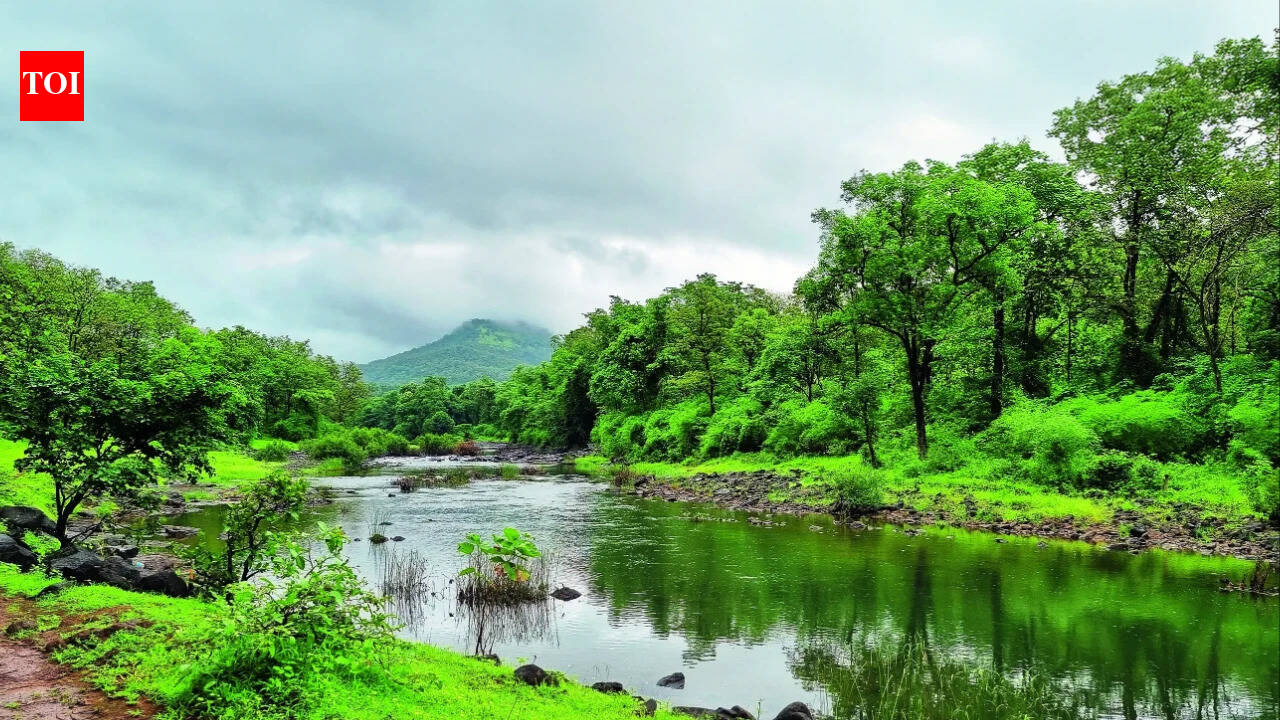 Centre notifies 7th draft for ecological zones in Western Ghats