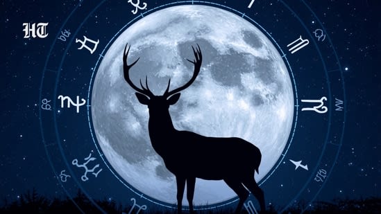 5 zodiac signs may expect life changes during the Buck Moon, according to an astrologer