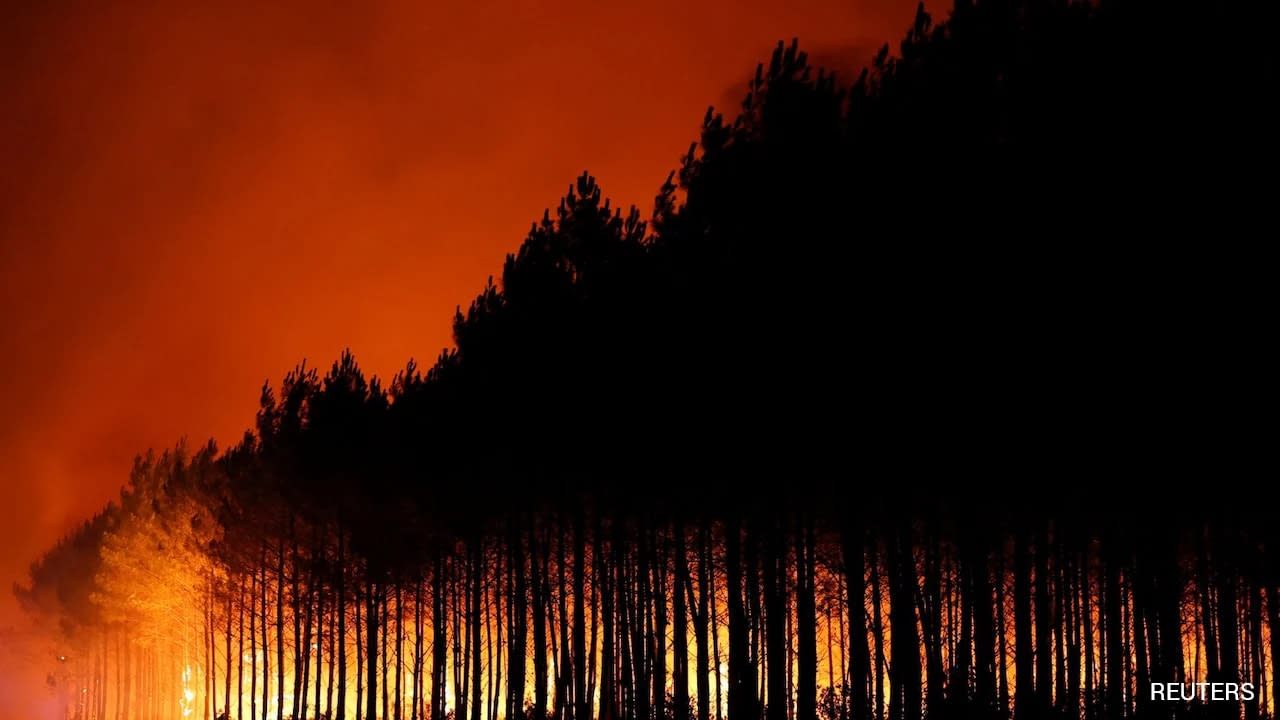 In Pics: How Wildfires Are Ravaging Western Europe This Summer