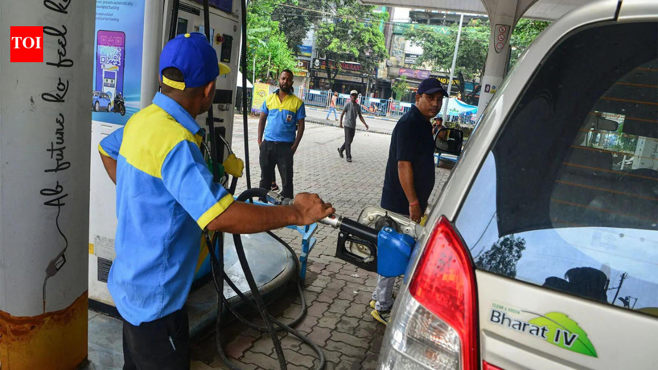 E20 petrol and vehicle mileage: What Nitin Gadkari said amid growing concerns