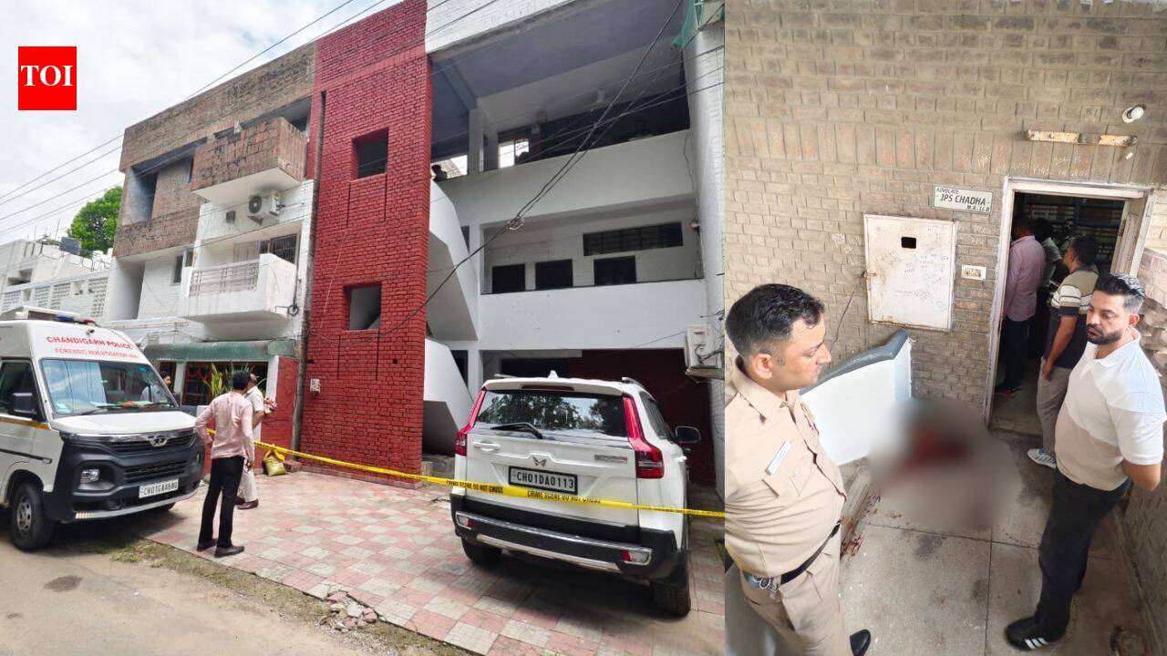 Woman shot in forehead by high court advocate during eviction drive in Chandigarh