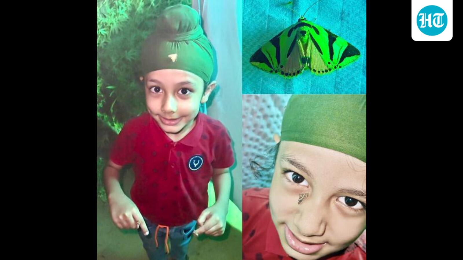 Wildbuzz | Innocence, curiosity, love