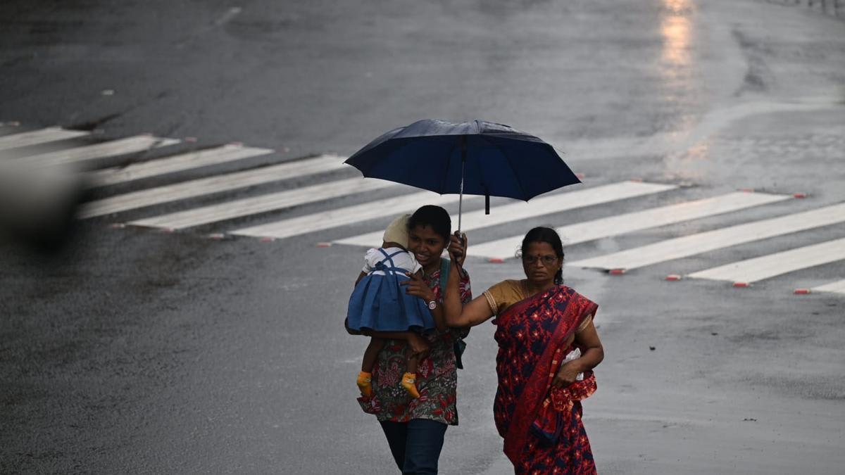 Kerala rains LIVE | Death toll reaches 15, seven remain missing, says CM V.D. Satheesan