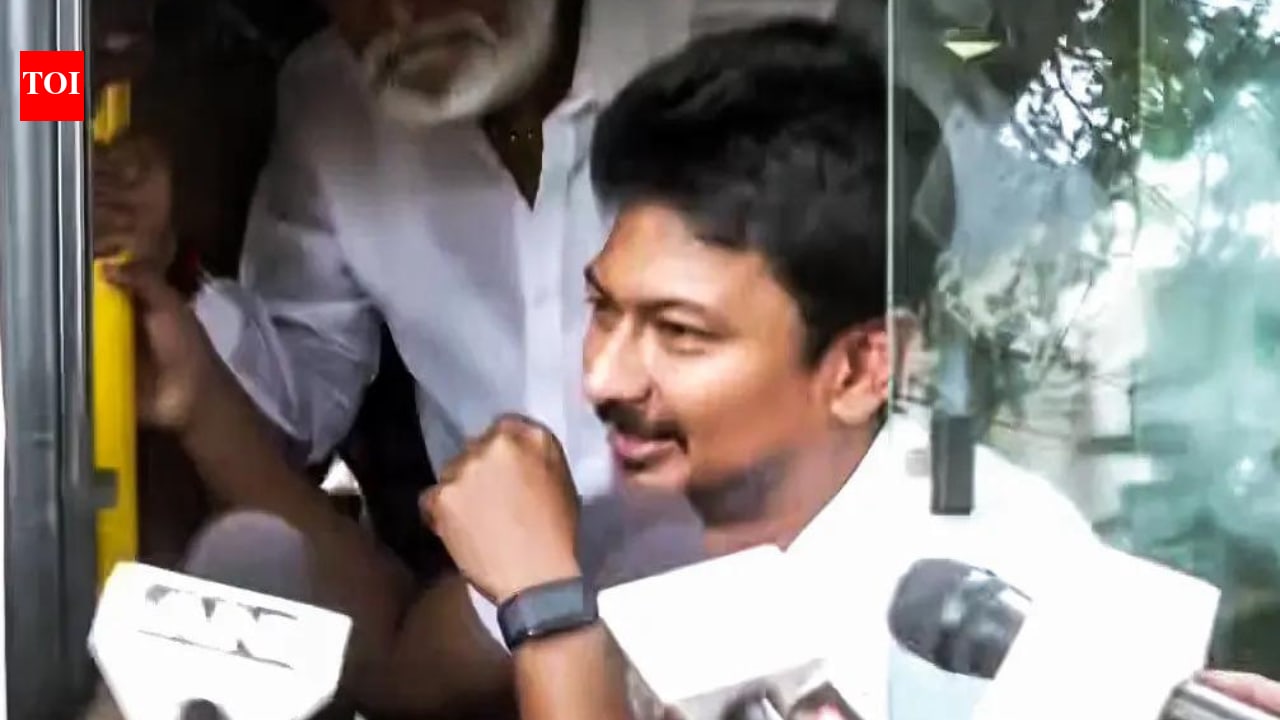 Madras HC orders Udhayanidhi's release after questioning over 'vulgar' remark