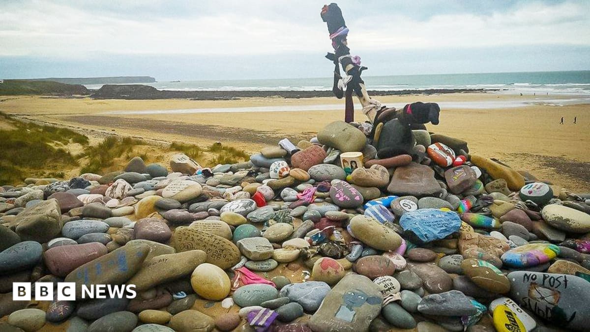 Harry Potter fans force diversion of UK-Ireland power link to avoid 'Dobby's grave'