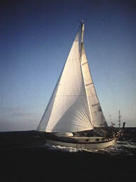 Confessions of a Long-Distance Sailor