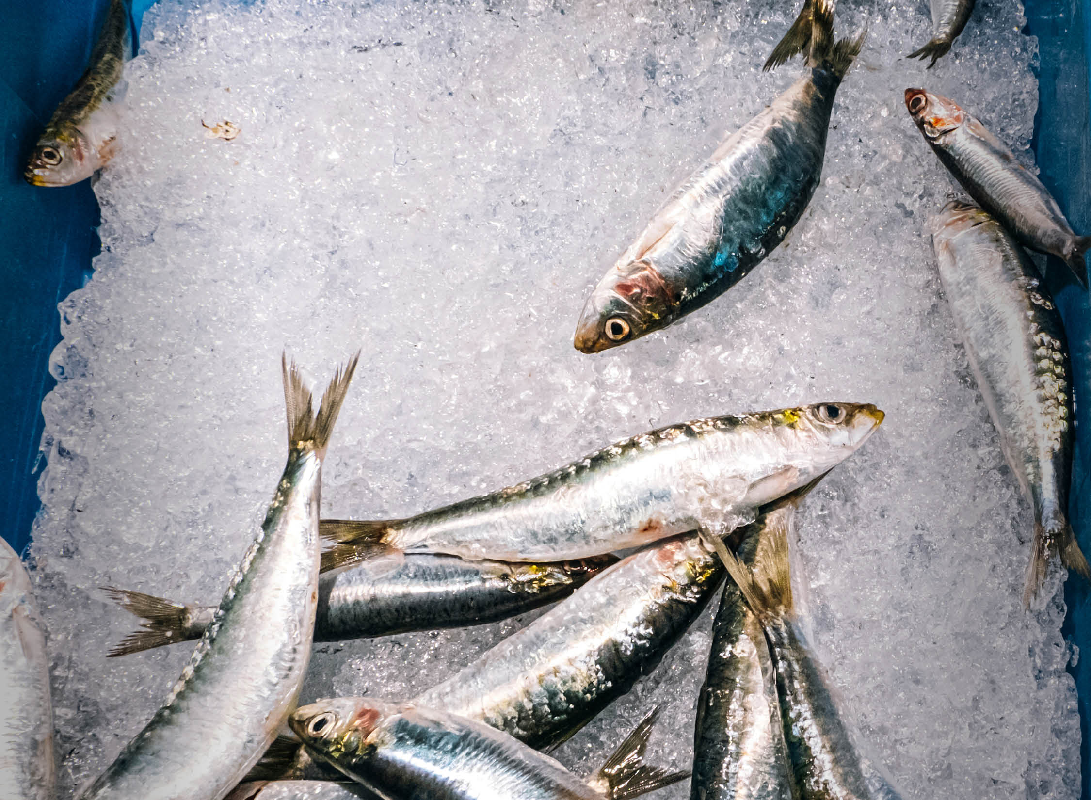 Thanks to social media, canned sardines are a scarcity on the supermarket shelf