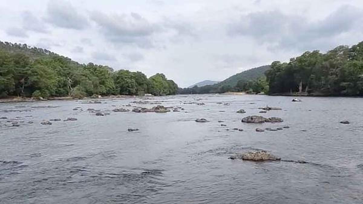 Karnataka credits rain for Cauvery water allotment to Tamil Nadu; TN says it was not voluntary and seeks more water