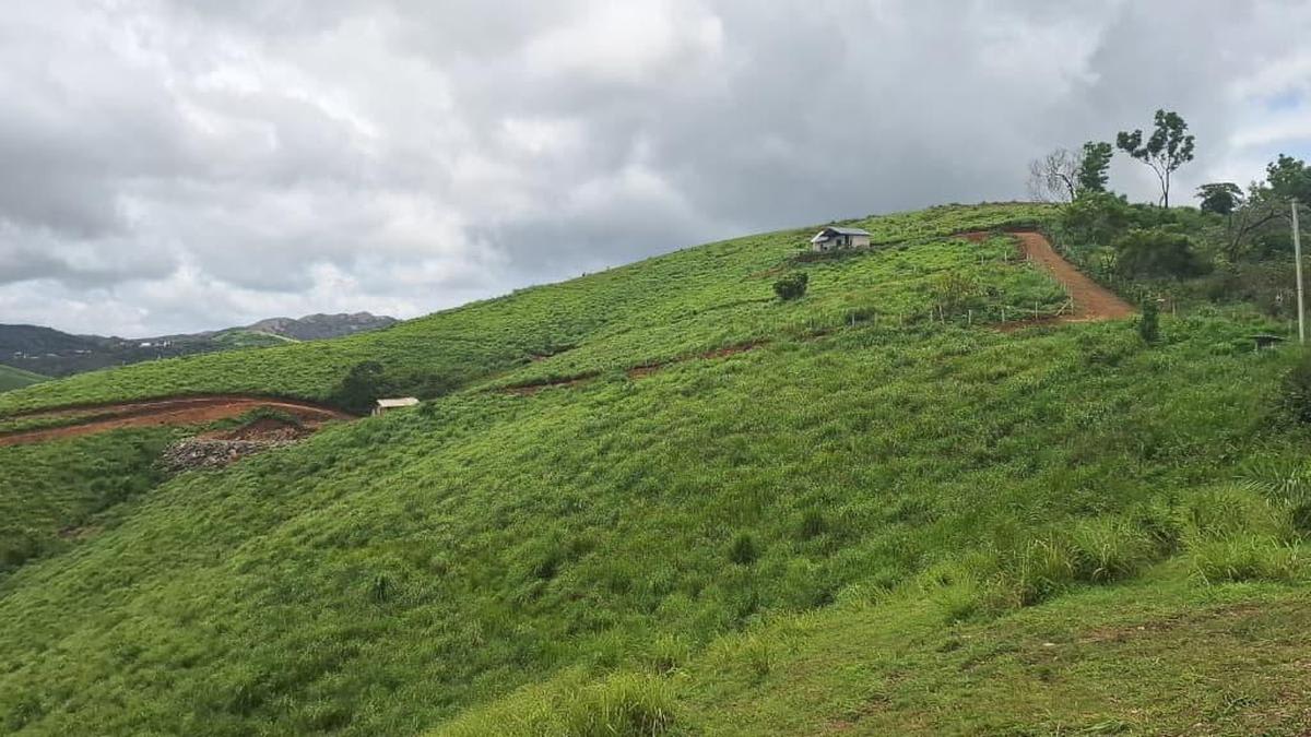 Revenue department set to cancel illegal land titles in Wagamon Meadows