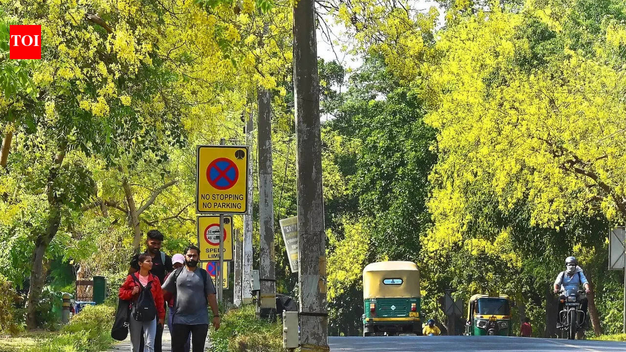 CAG finds 98% shortfall in Green India Mission forest cover targets, flags lapses