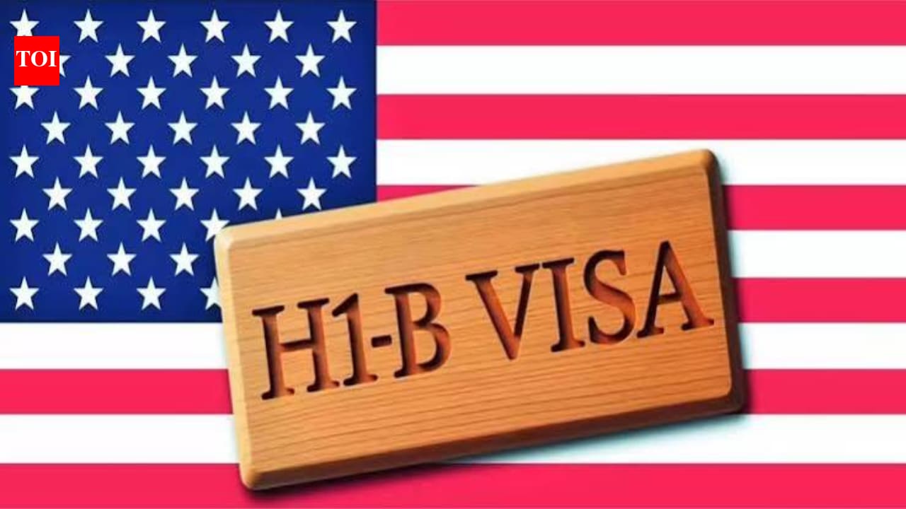 US Labor official slams H-1B program, blames govt and companies, not workers