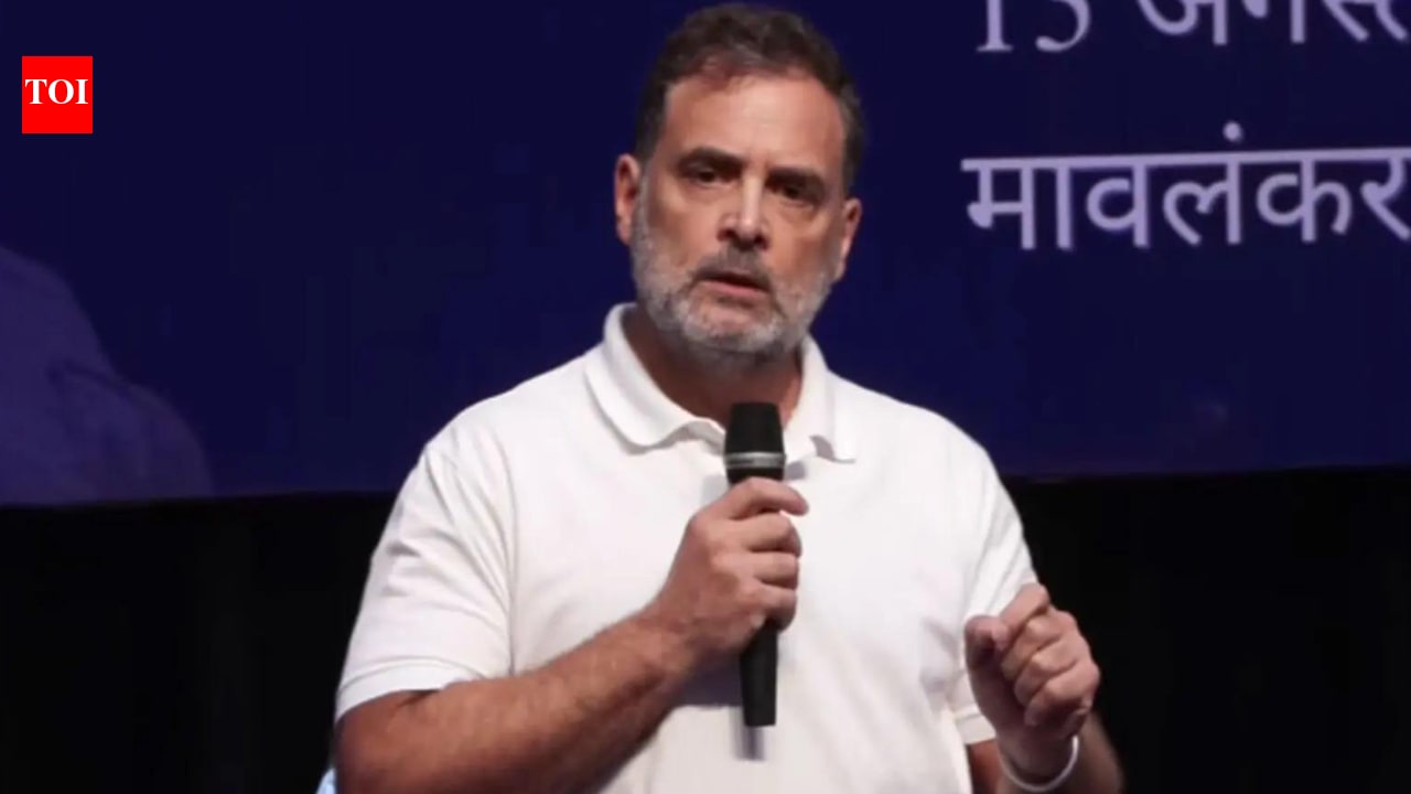 'China stopped our army from patrolling several places in Arunachal': Rahul