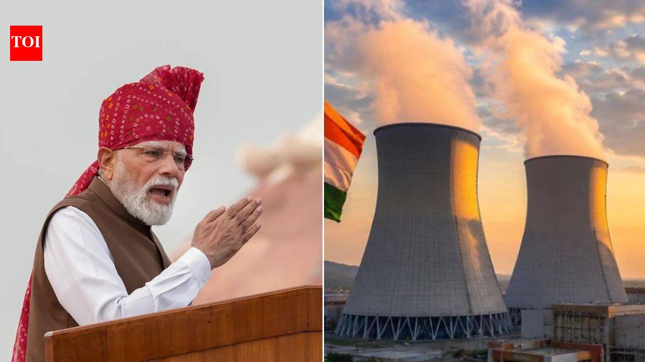 100GW of nuclear power by 2047: Inside PM Modi's energy self-reliance plan