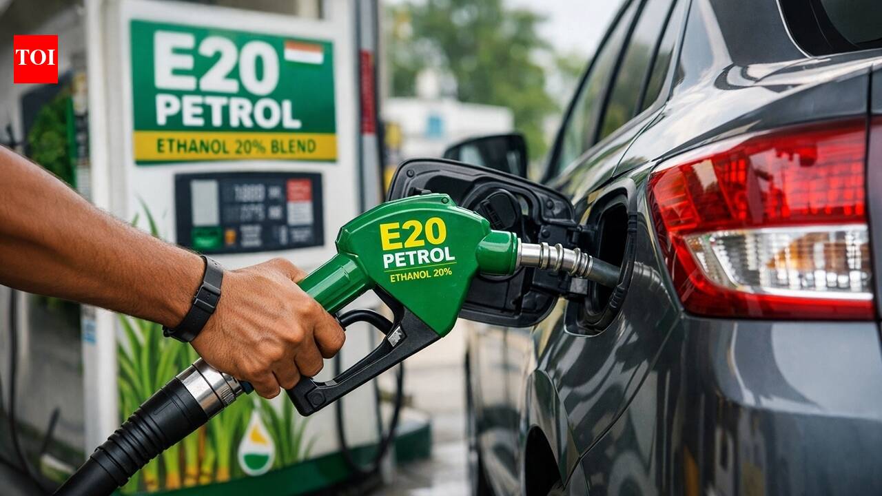 E20 petrol row: Bring back lower blend of ethanol fuel at pumps, says CEA Nageswaran