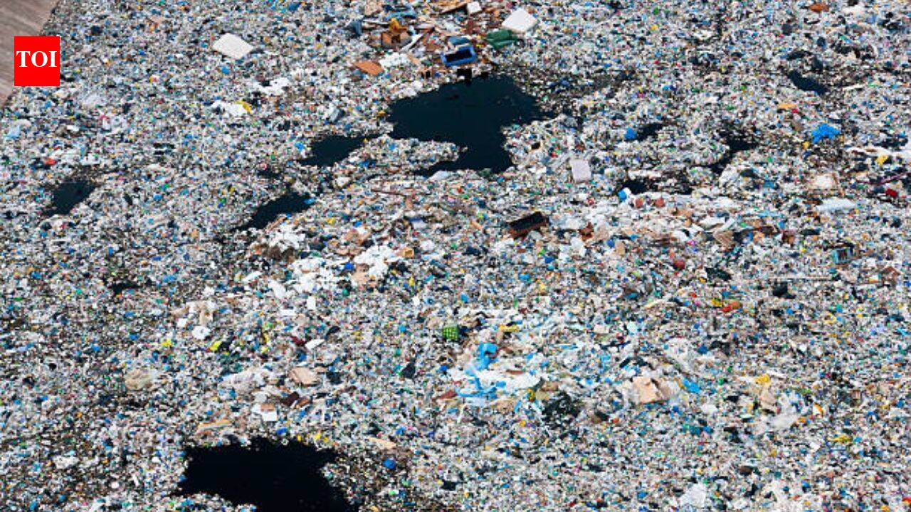 Pacific garbage patch spans 1.6 million sq km as fishing gear dominates debris
