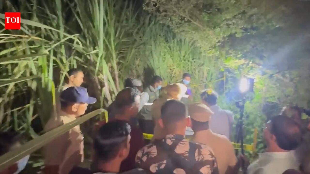 9-yr-old girl sexually assaulted, murdered in Pune; neighbour held
