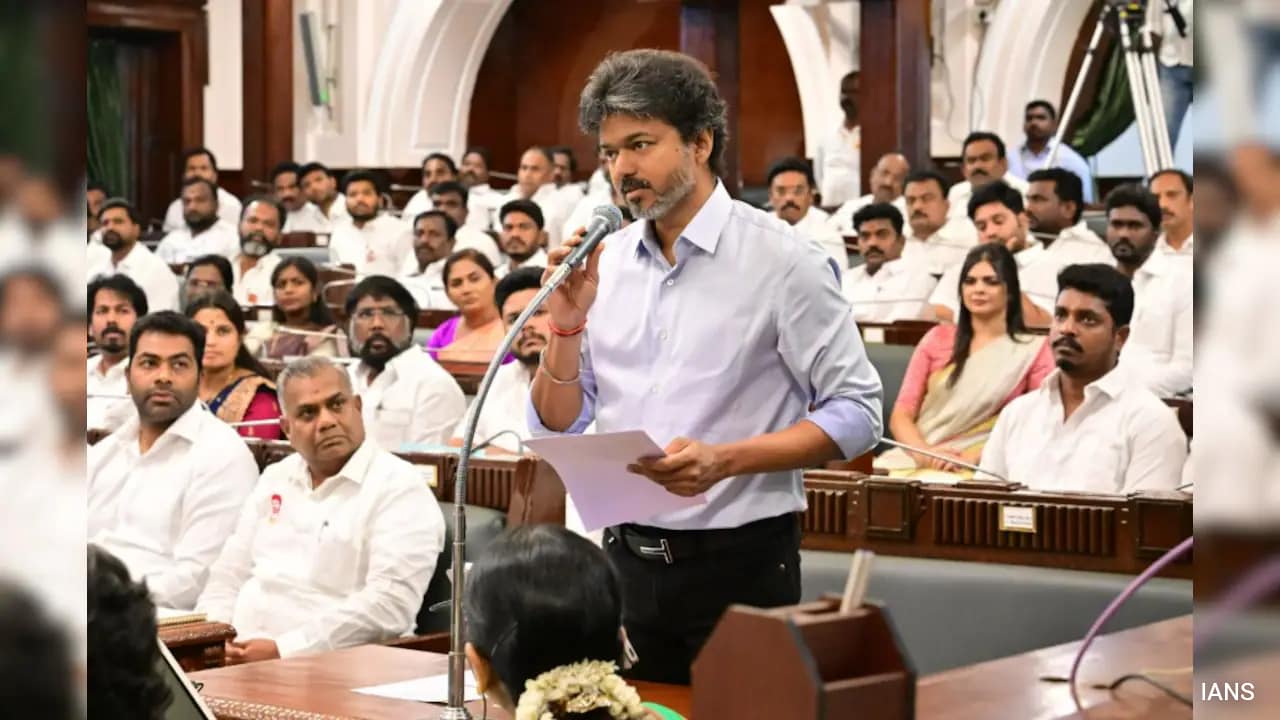 "Don't Think We Should Encourage Large Families": Congress MP On Vijay Government's Move