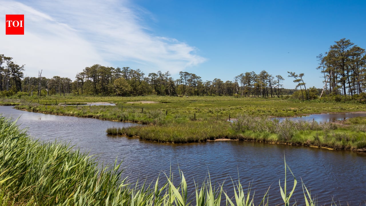 Virginia moves refuge parking lot 2.5 miles so dunes and saltmarsh can return