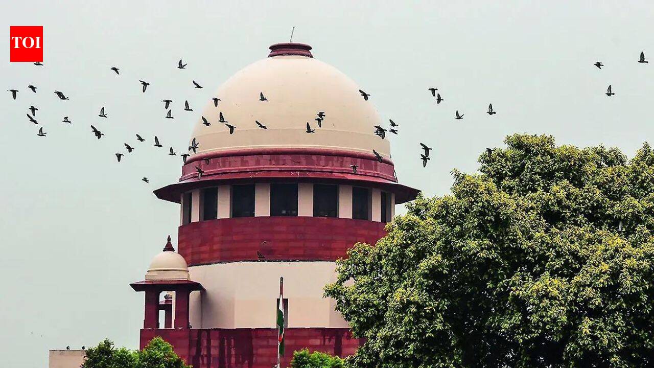 Paternity test of child can be allowed in marital dispute: SC