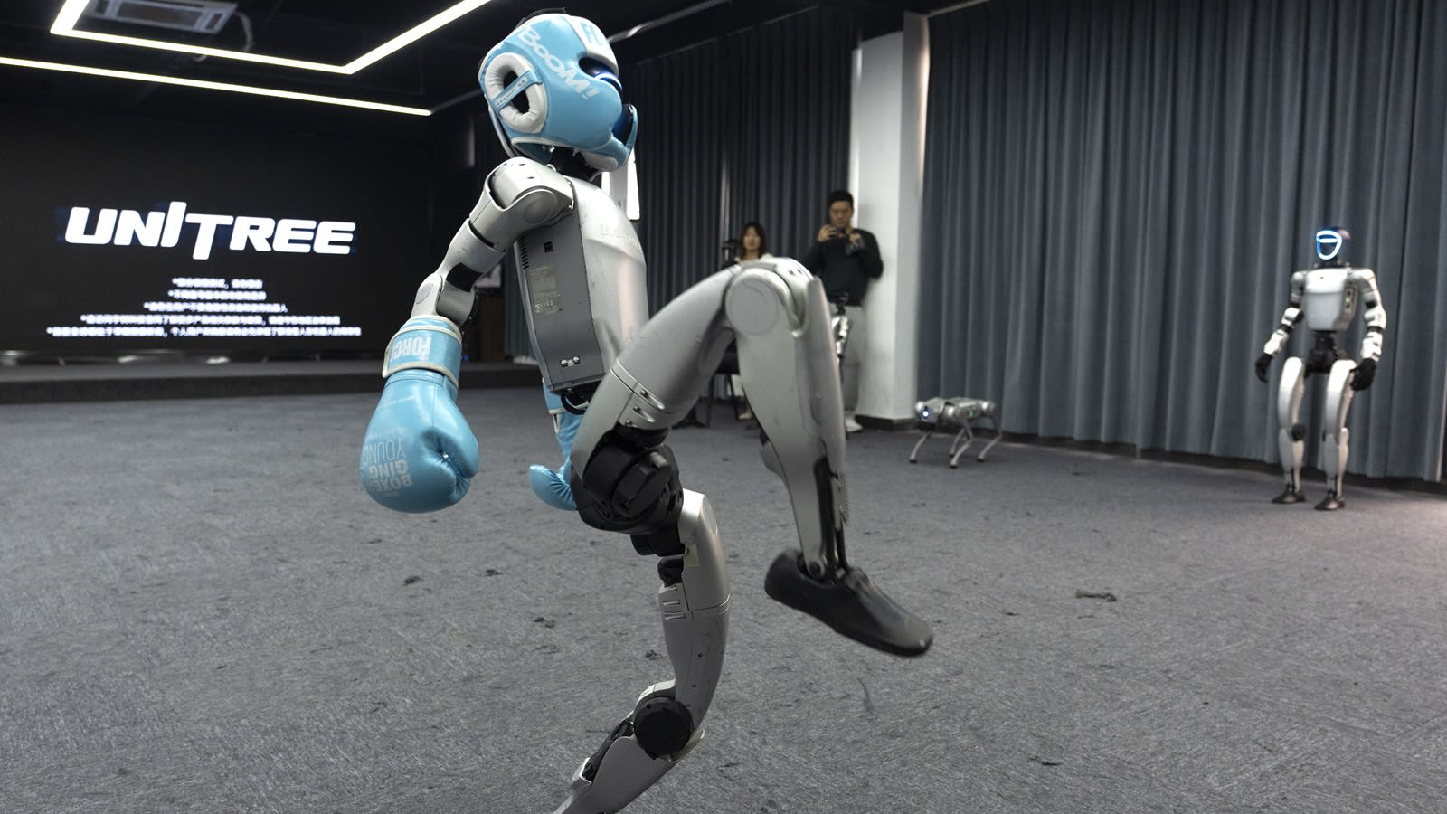 China robot makers seek to turn humanoid hype into useful work