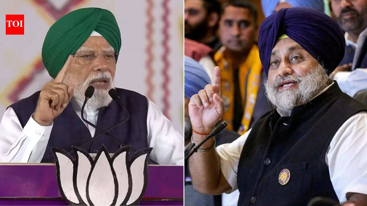 'A border state': Akali leader fuels buzz over SAD-BJP reunion, gives this reason
