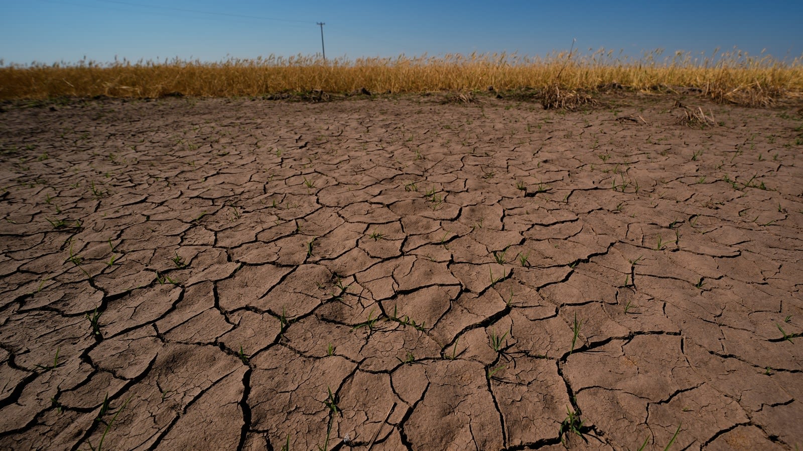 El Niño could be strongest in living memory, put 2027 on track as hottest year