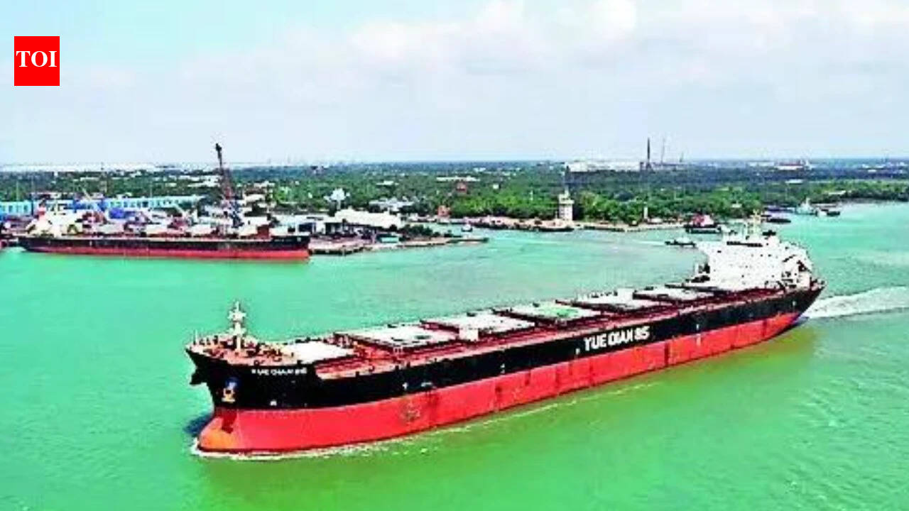 'Vanished from tracking system': How Panama-flagged cargo ship sank off Odisha coast