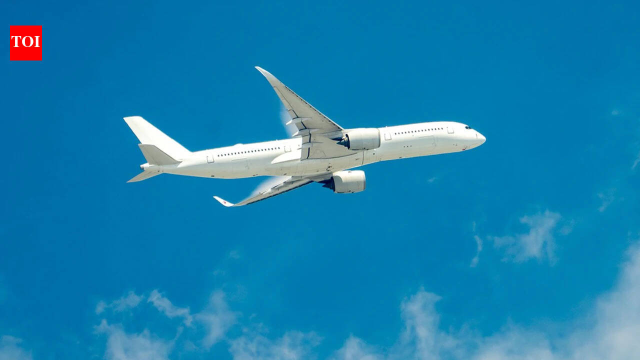 Soon, no need for physical boarding cards at immigration