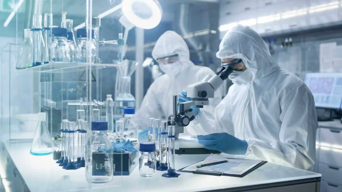 Little-Known HOWL Stock Skyrockets 100% on Biotech Merger News