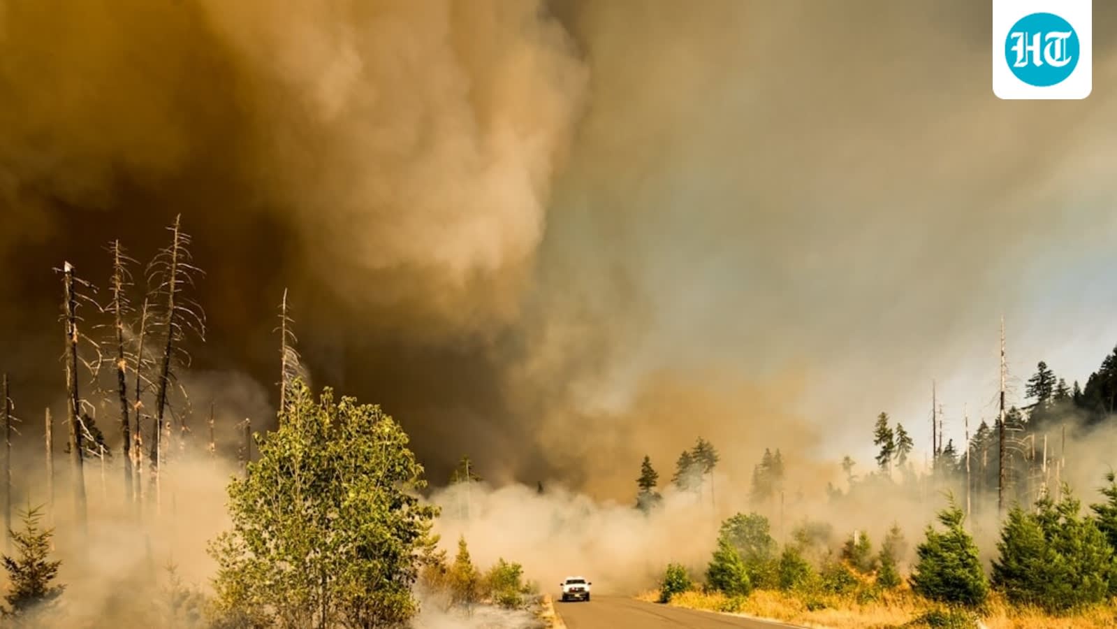 Where is the fire in Reno today? Location, map, latest updates as Hawk Fire moves closer to Lemon Valley; videos emerge