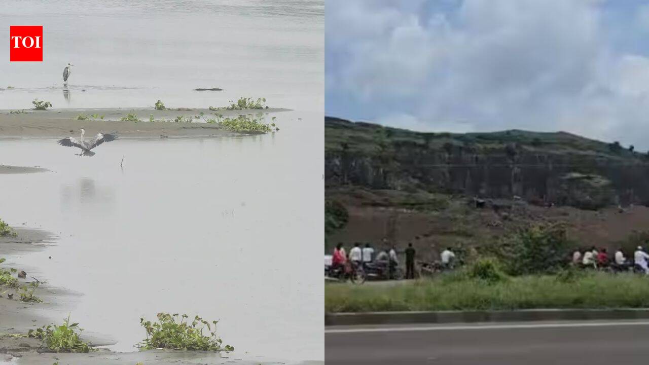 After Maharashtra hill tragedy, Delhi man jumps into Yamuna over iPhone