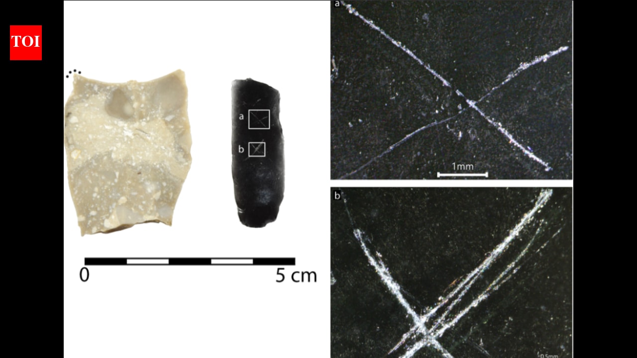 9,000-year-old arrowheads covered in strange markings leave archaeologists puzzled