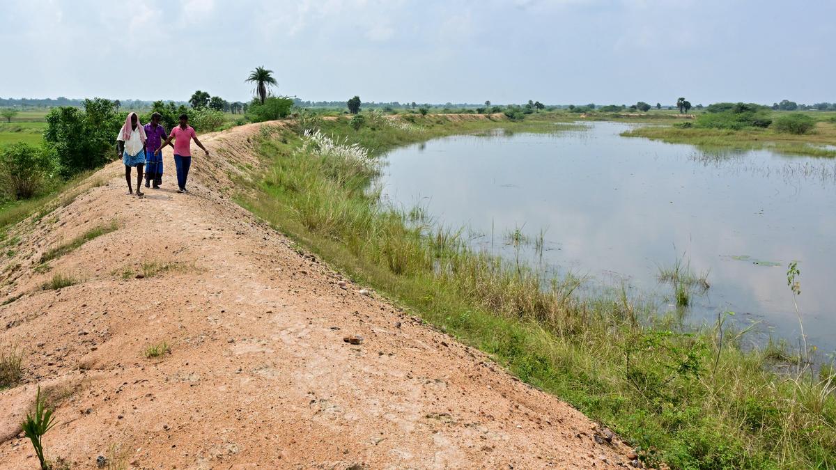 Parandur airport project: What happens now to the land acquired? | Explained