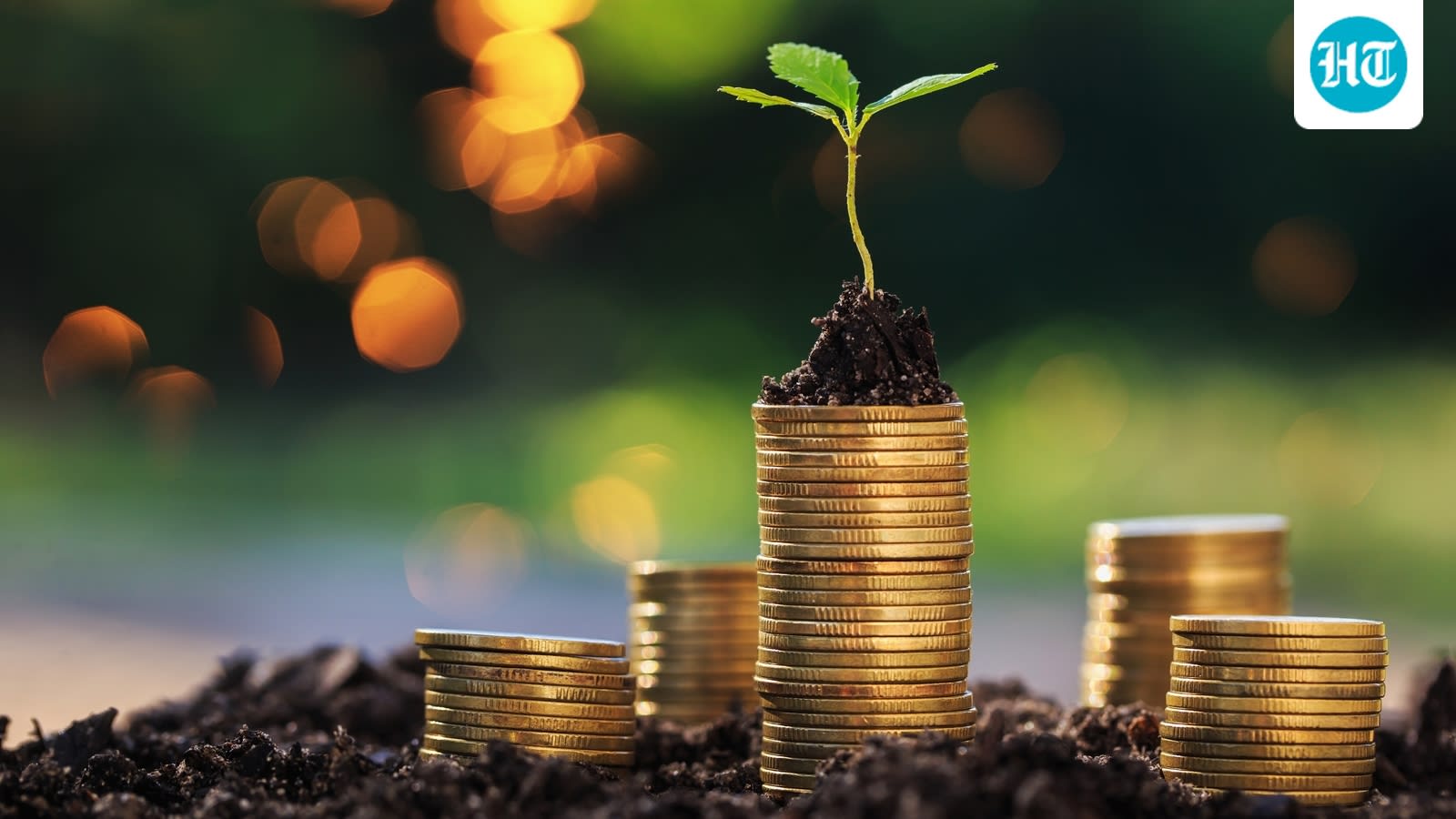 The real measure of financial intelligence is not a job title