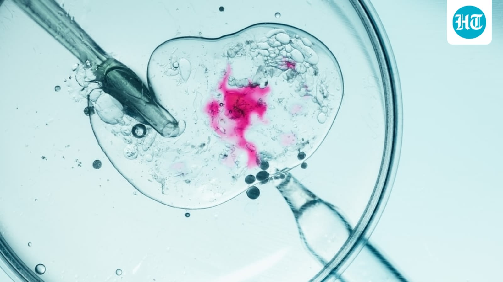 Fertility care needs a more holistic approach