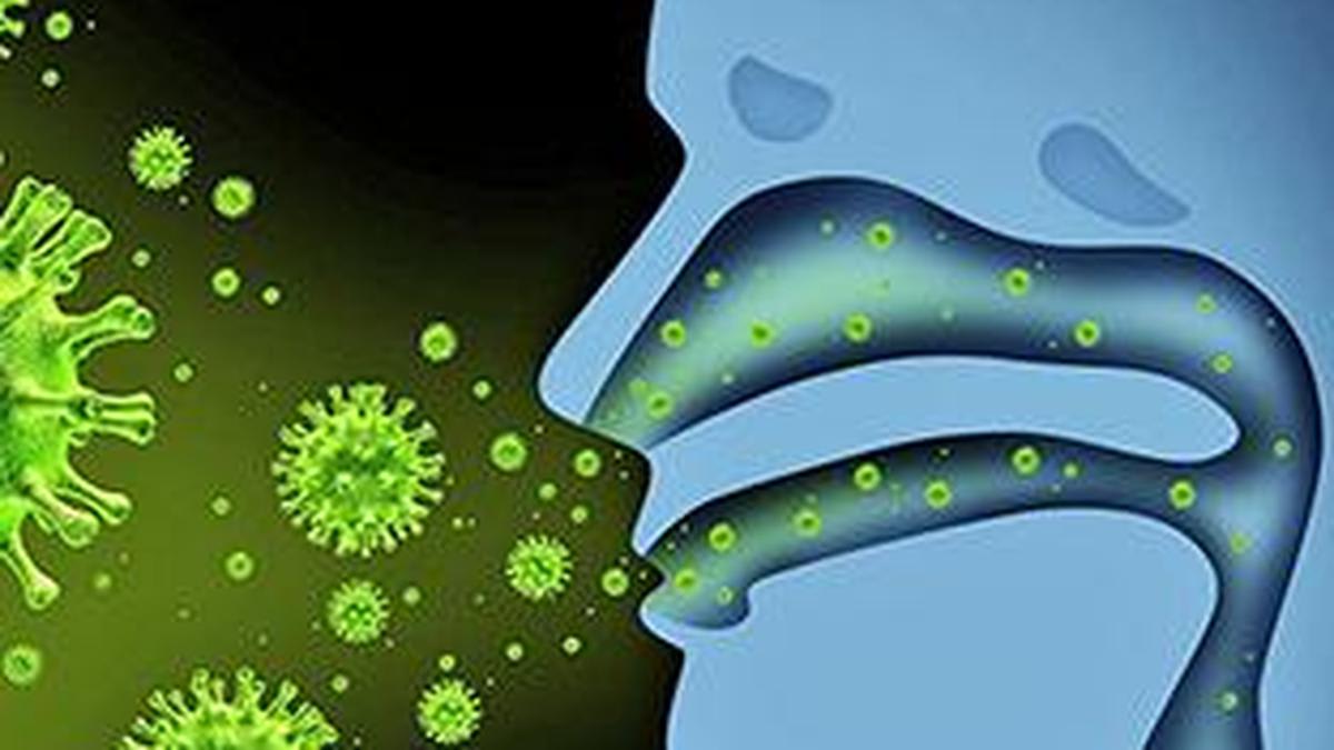 Seasonal influenza under control in Tamil Nadu: Health Department