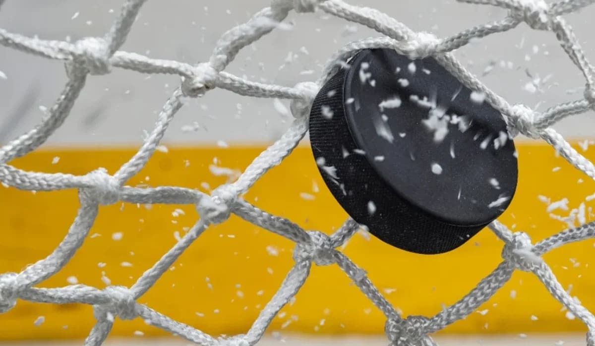 The NHL ETF Power Play