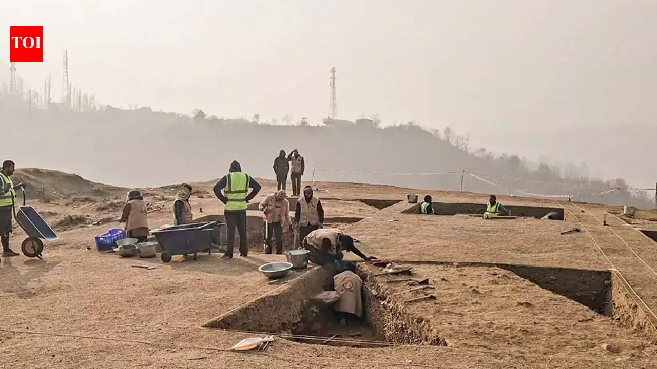 Second excavation phase at Kashmir Buddhist site starts today