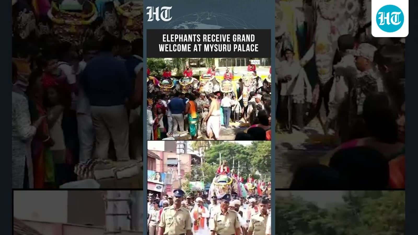 WATCH: Mysuru Dasara 2026 Preparations Begin With Grand Elephant Squad Welcome