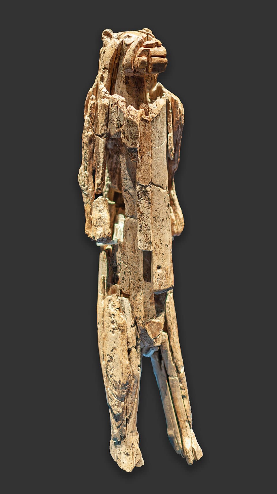 Lion-man – the oldest confirmed statue ever discovered