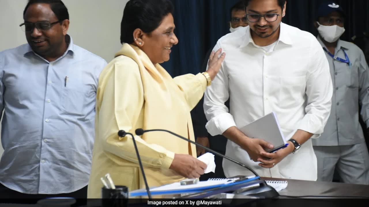 'Needs To Be More Mature': Mayawati On Nephew Akash Anand's Role In Party