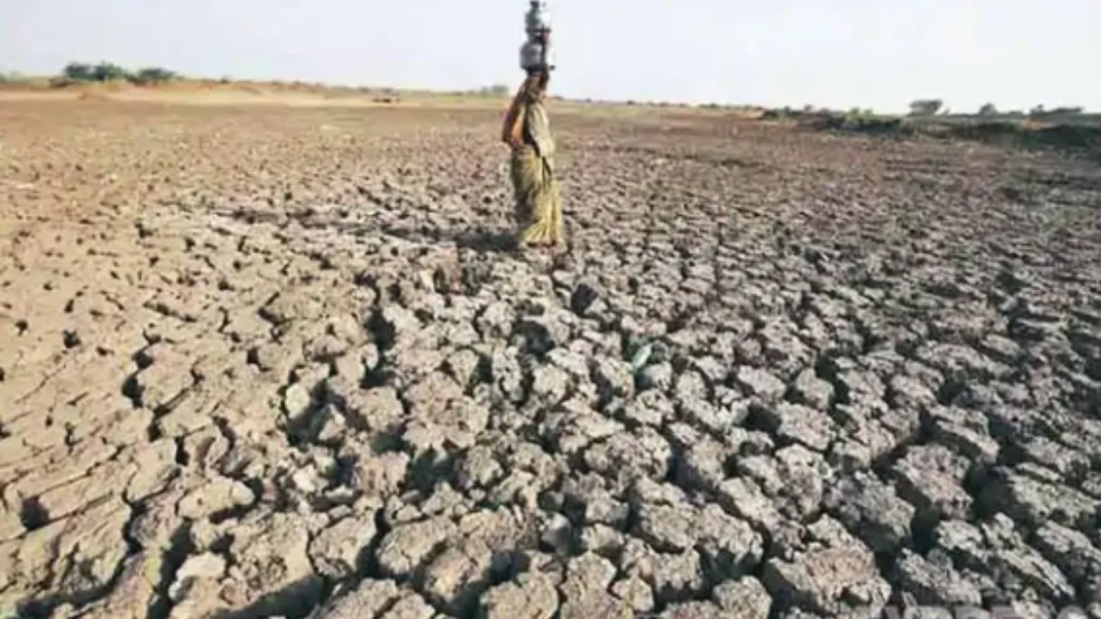 ‘Very’ strong El Nino emerging, to last till Feb 2027: WMO