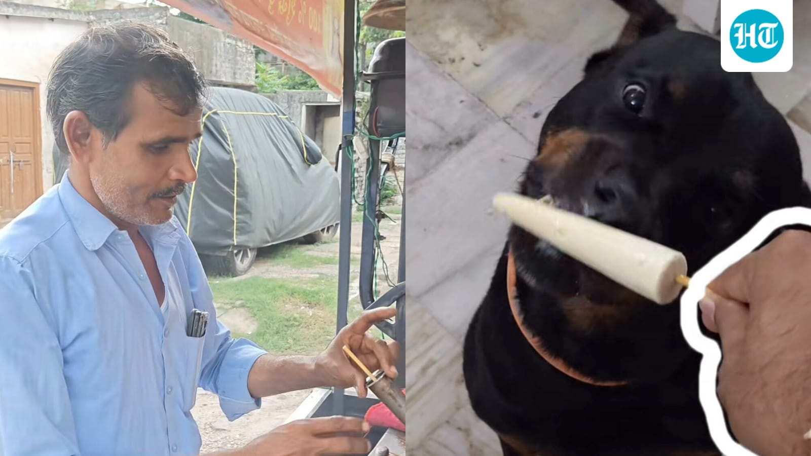 Jaipur kulfi vendor makes sugar-free kulfi for dogs: ‘How thoughtful’