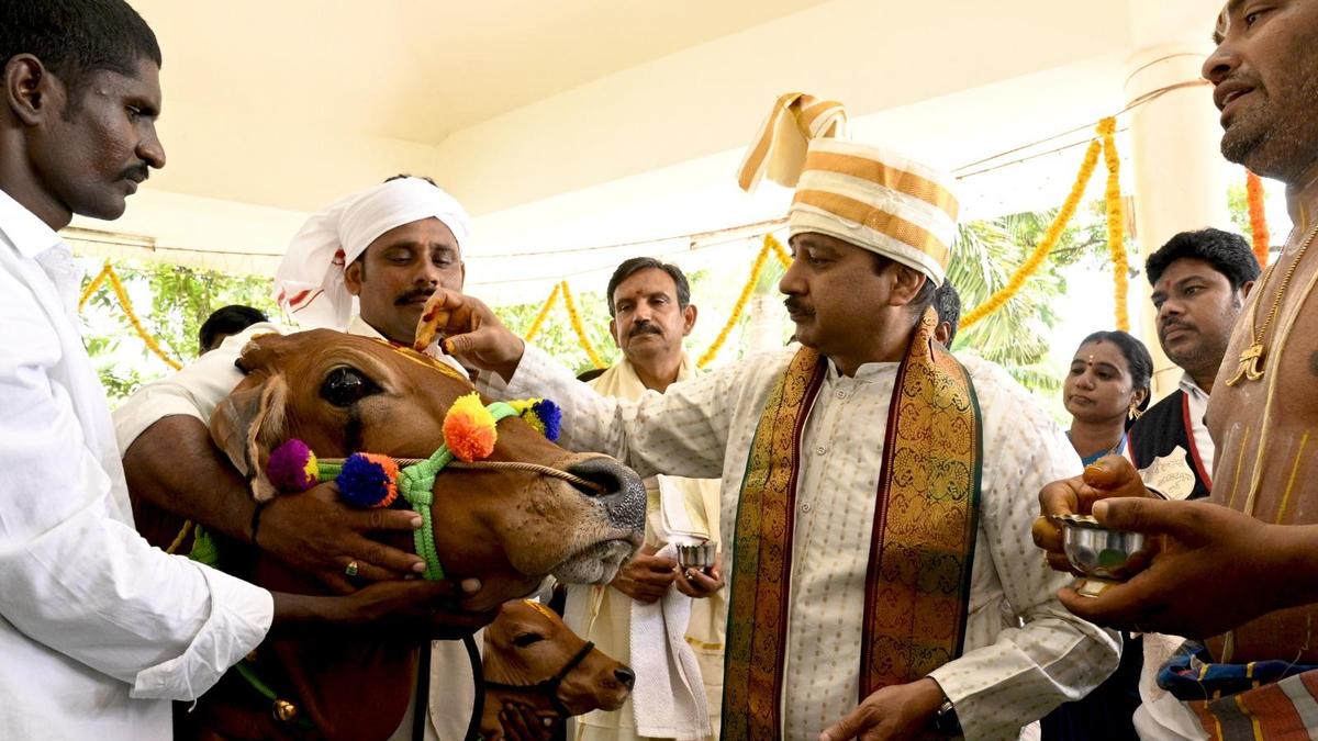 TTD reiterates commitment to cow protection on Gokulashtami