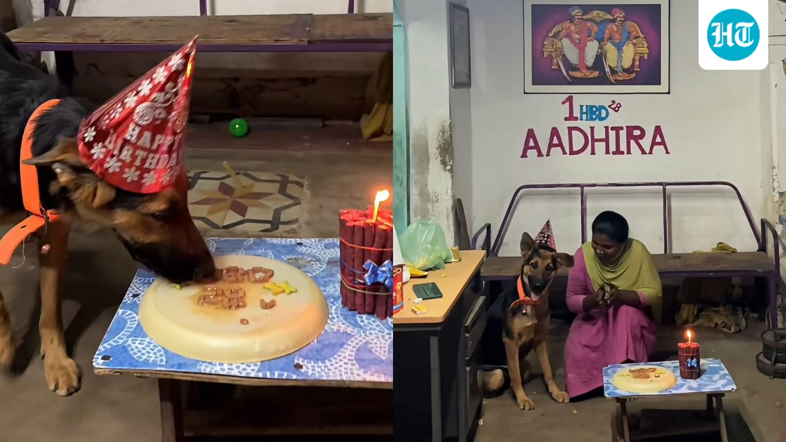 Family celebrates pet dog’s 1st birthday with treats and decorations: ‘Pure love’