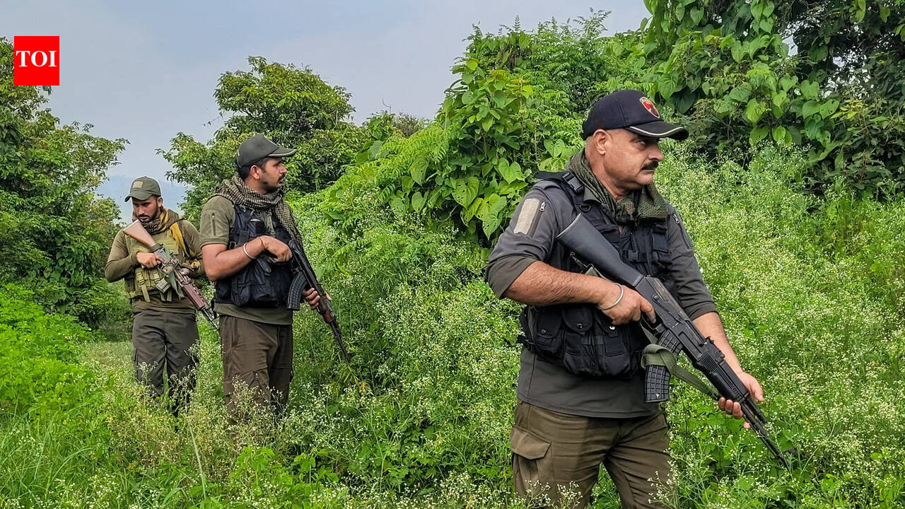 'You can run, but can't hide': Lashkar terrorist neutralised in Jammu and Kashmir