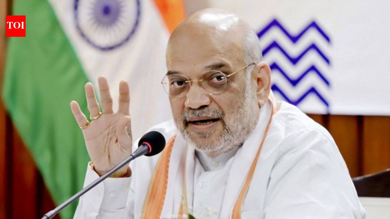 'We eradicated Naxalism, narcotics next': Amit Shah on drug-free India by 2029