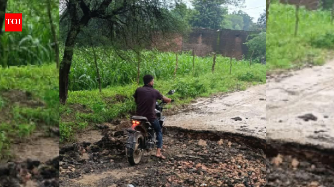 Ambulance stuck in pothole for 2 hours, unborn baby dies in Agra