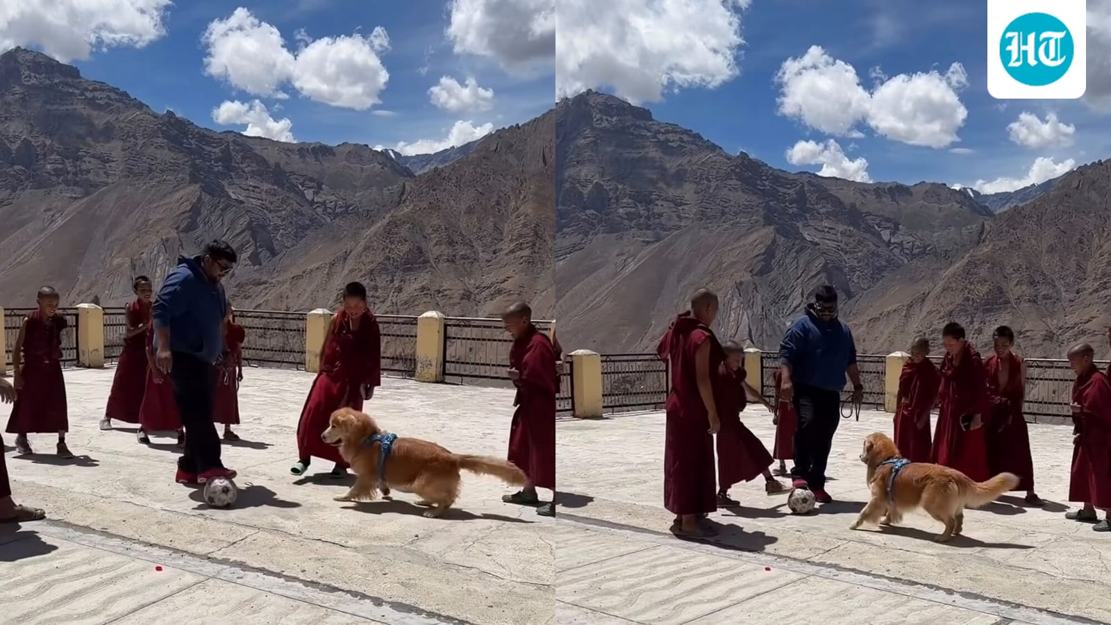 'Pure joy’: Dog joins football match with young monks at Spiti Valley monastery