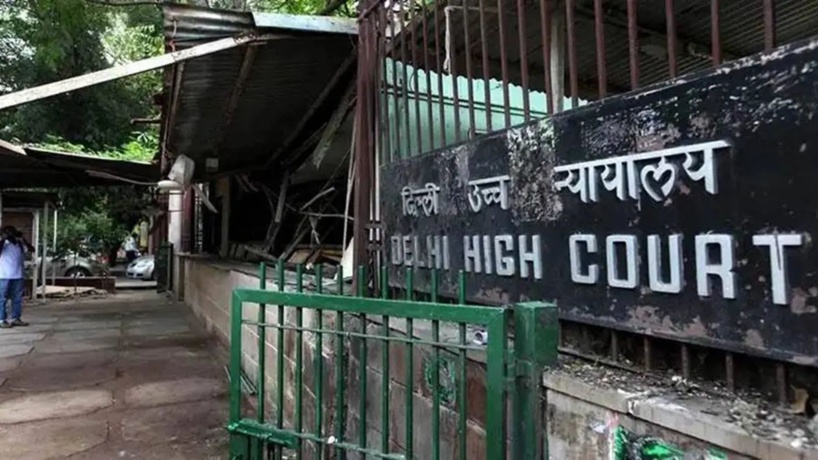 Delhi High Court seeks government response on action plan for eliminating rabies by 2030